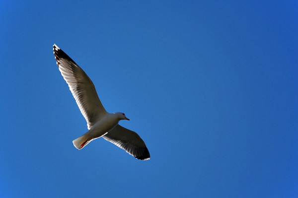 DSC_1869.jpg