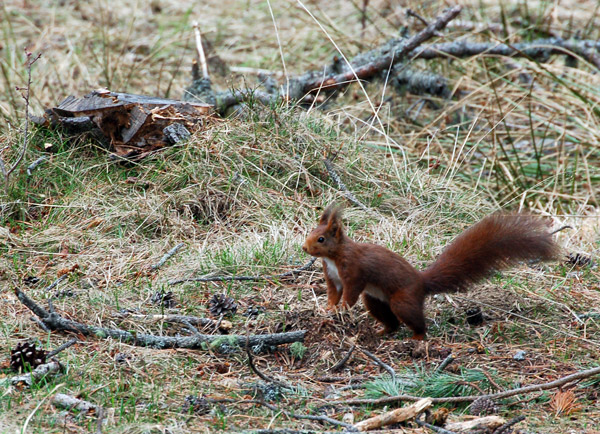 DSC_5091.jpg