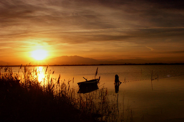 Canet-Janvier034.jpg