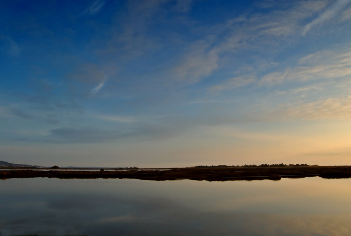 DSC_1446.jpg
