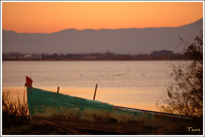 DSC_1766-2.jpg