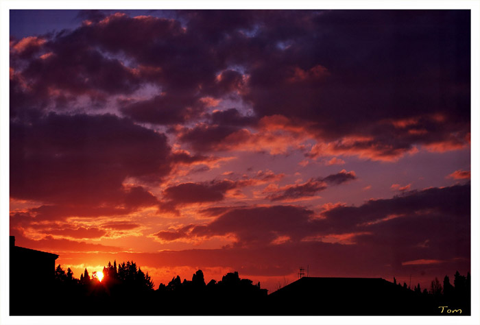 DSC_2483b.jpg