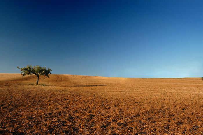 DSC_8556.jpg