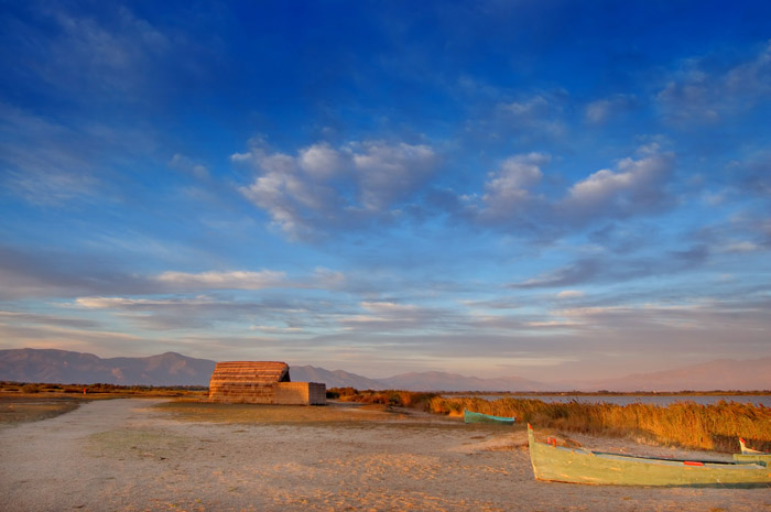 DSC_8920-2.jpg