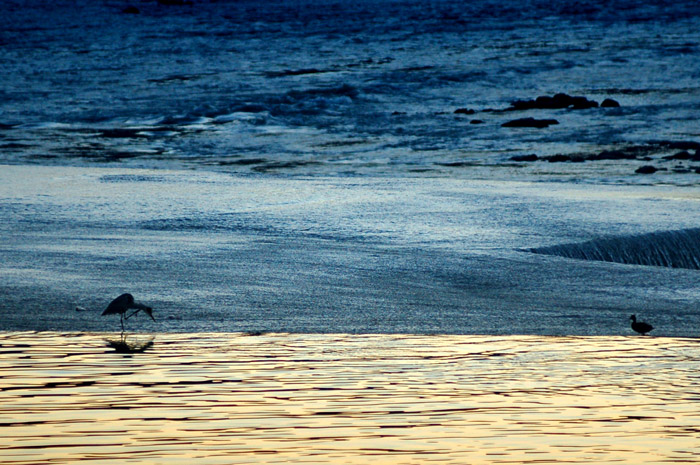 DSC_9904.jpg
