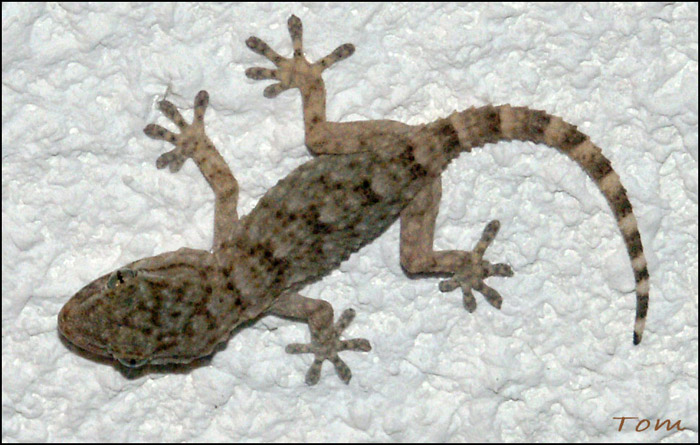 3-PICT0029.jpg