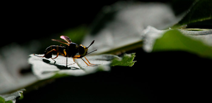 DSC_8412.jpg