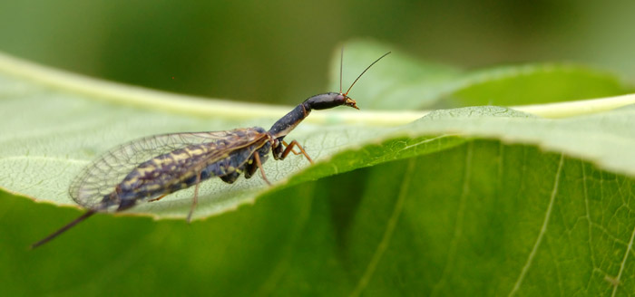 DSC_5642.jpg