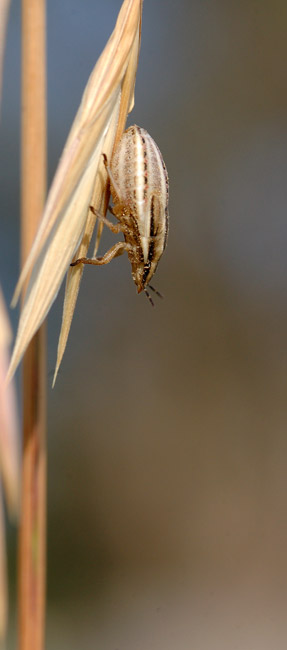 DSC_6737.jpg