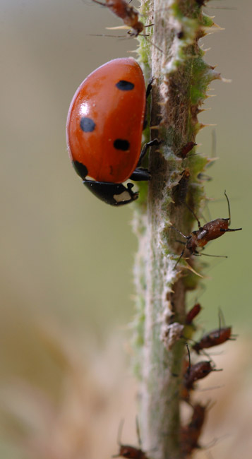 DSC_6873.jpg