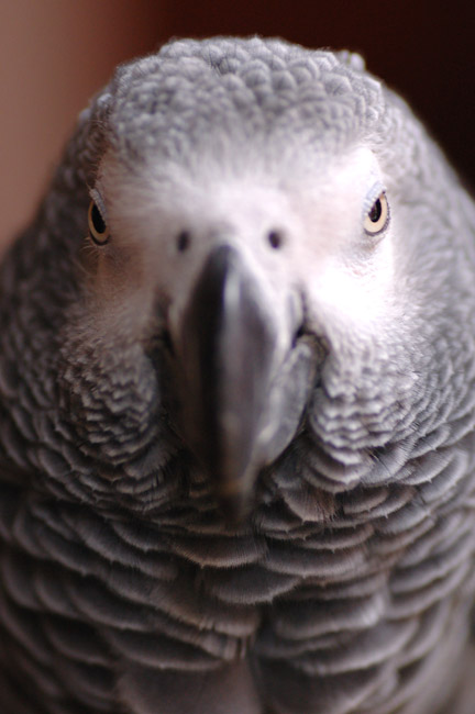 DSC_6646.jpg