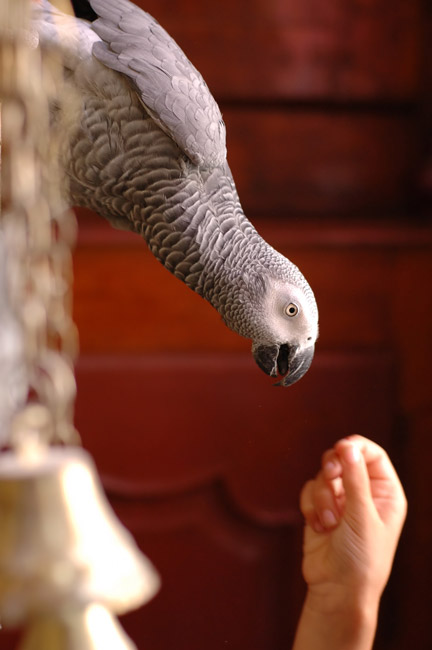DSC_6665.jpg