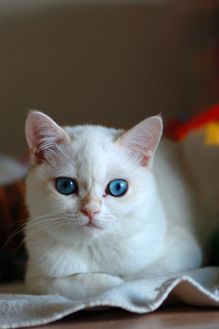 DSC_7990.jpg