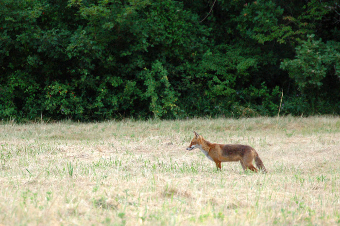 DSC_8405.jpg
