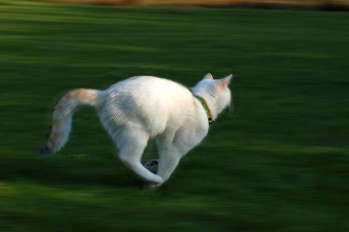 DSC_9677.jpg