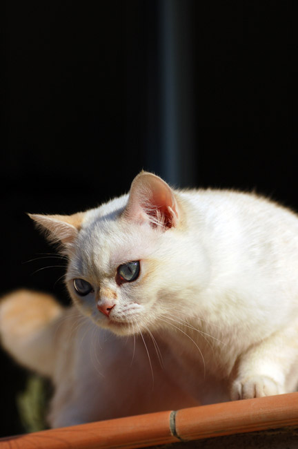 DSC_9811.jpg