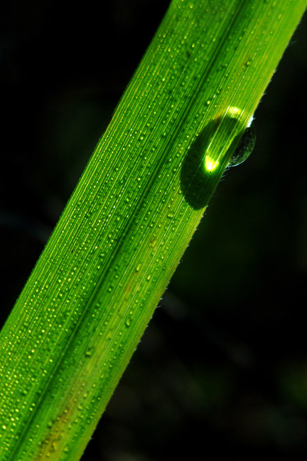 DSC_5770.jpg