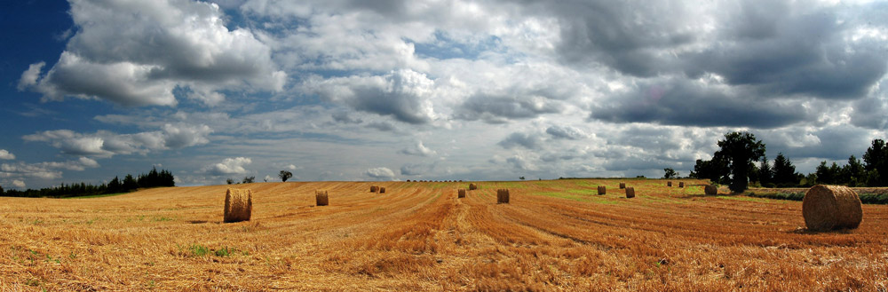 pano1.jpg