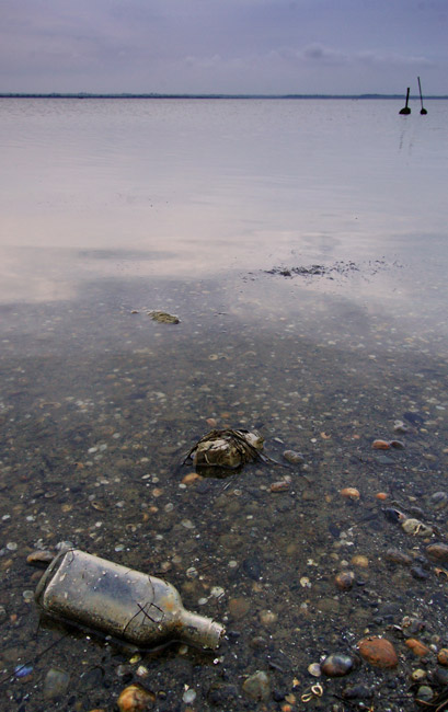 DSC_0204-2.jpg