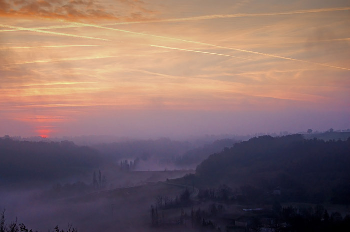 DSC_3164-2.jpg