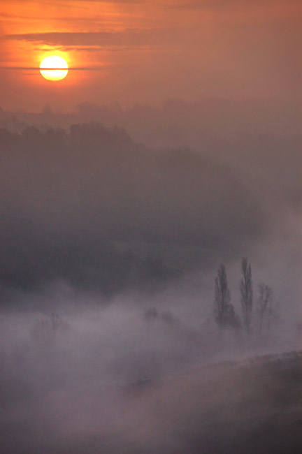 DSC_3183-2.jpg
