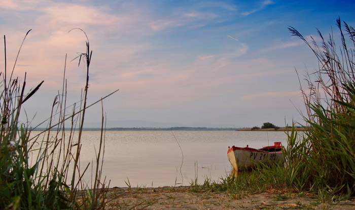 DSC_5279-5.jpg
