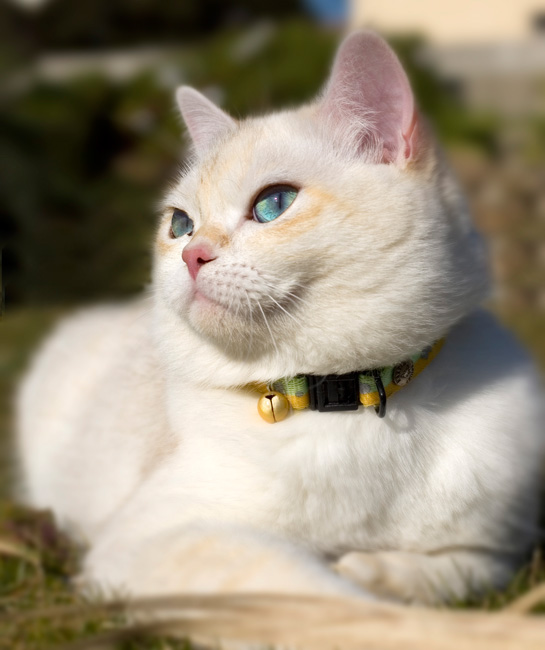 DSC_1921.jpg