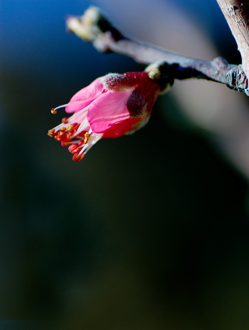 DSC_2023.jpg