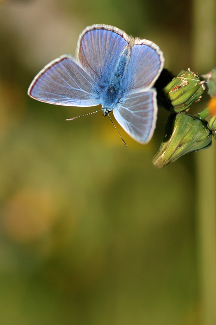 DSC_3058.jpg