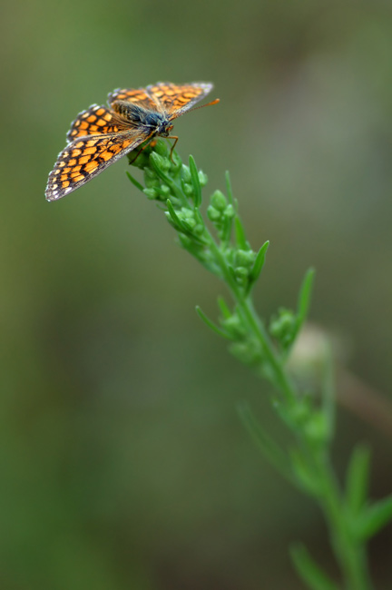 DSC_5119.jpg