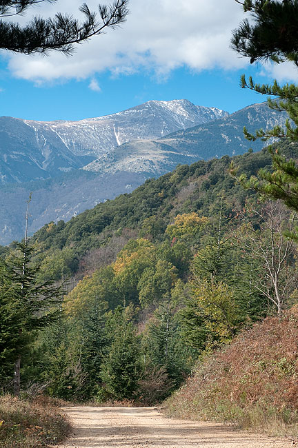 vpaysage003.jpg