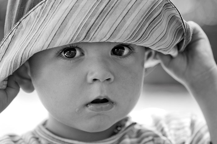 hportrait265.jpg