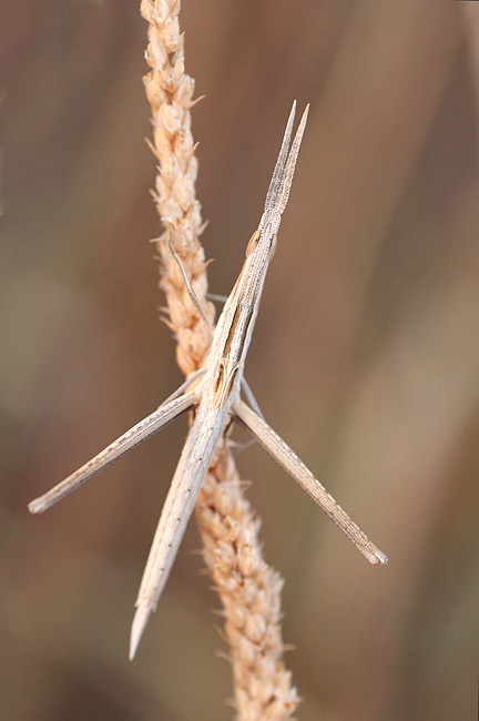 v-DSC_0542.jpg