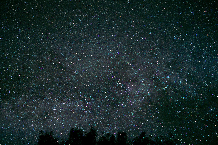 h-CSC_0328.jpg